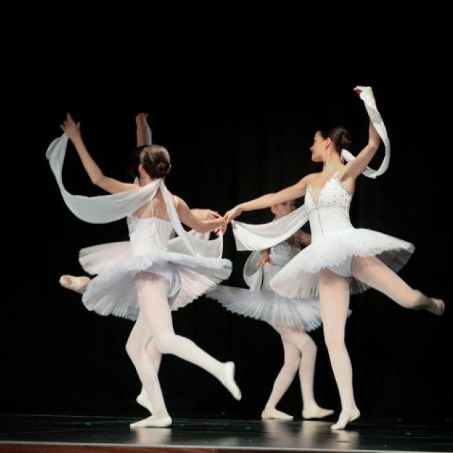 Tallers de ballet clàssic per a adults